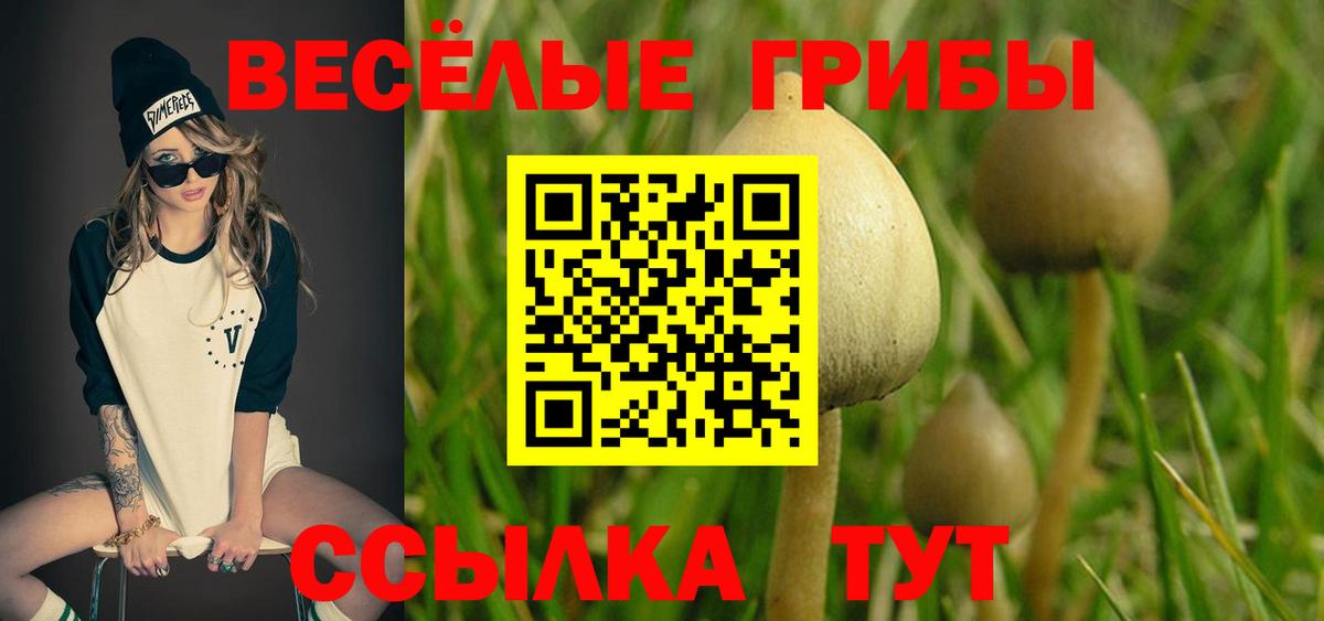 Галлюциногенные грибы Psilocybine cubensis  Вход с VPN  наркошоп  Люберцы  Псилоцибиновые грибы Psilocybe 
